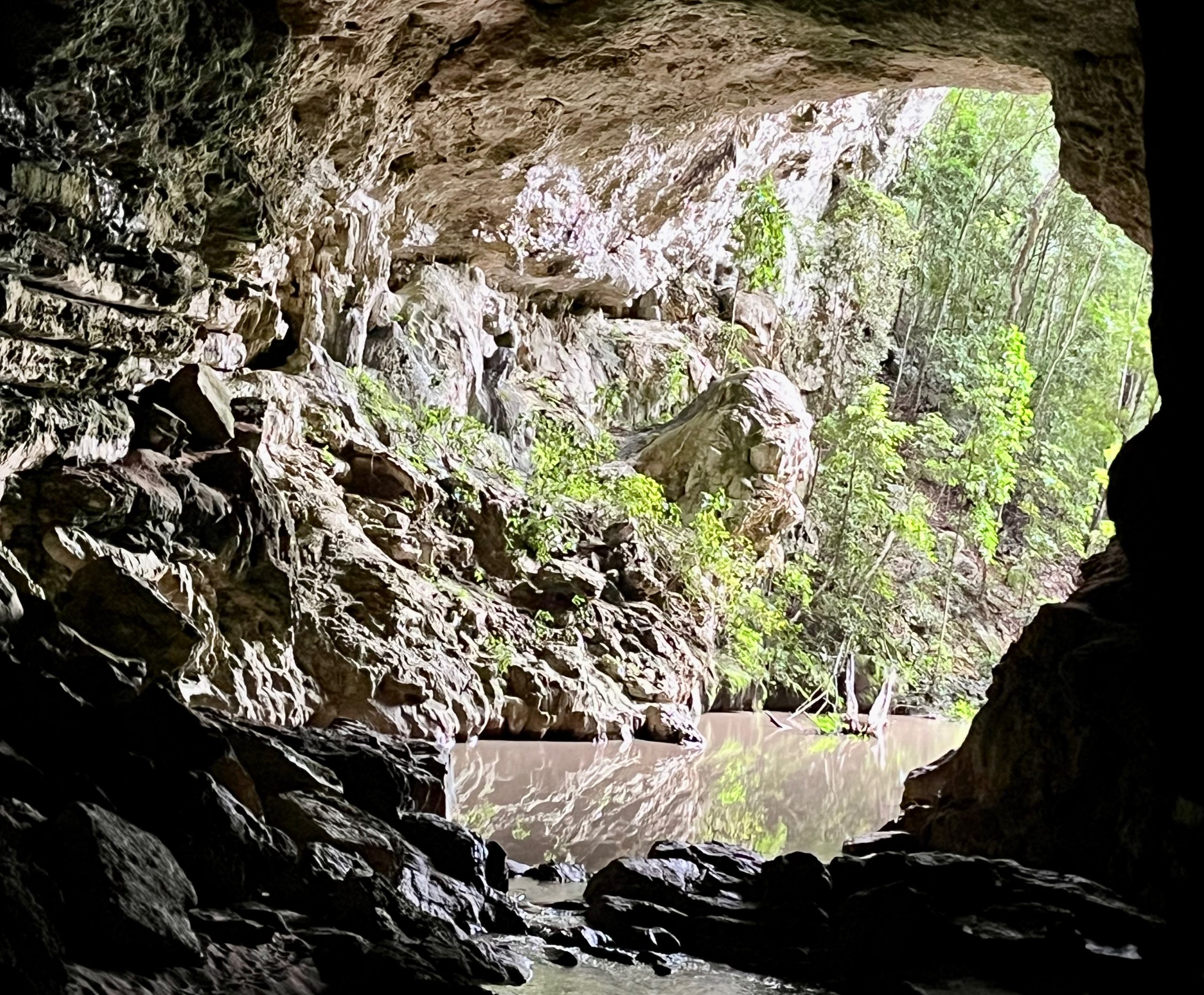 San Ignacio: Rio Frio Cave