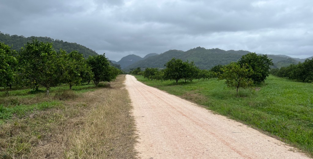 Belize: Arrival to Belize City and Travel&nbsp;Inland