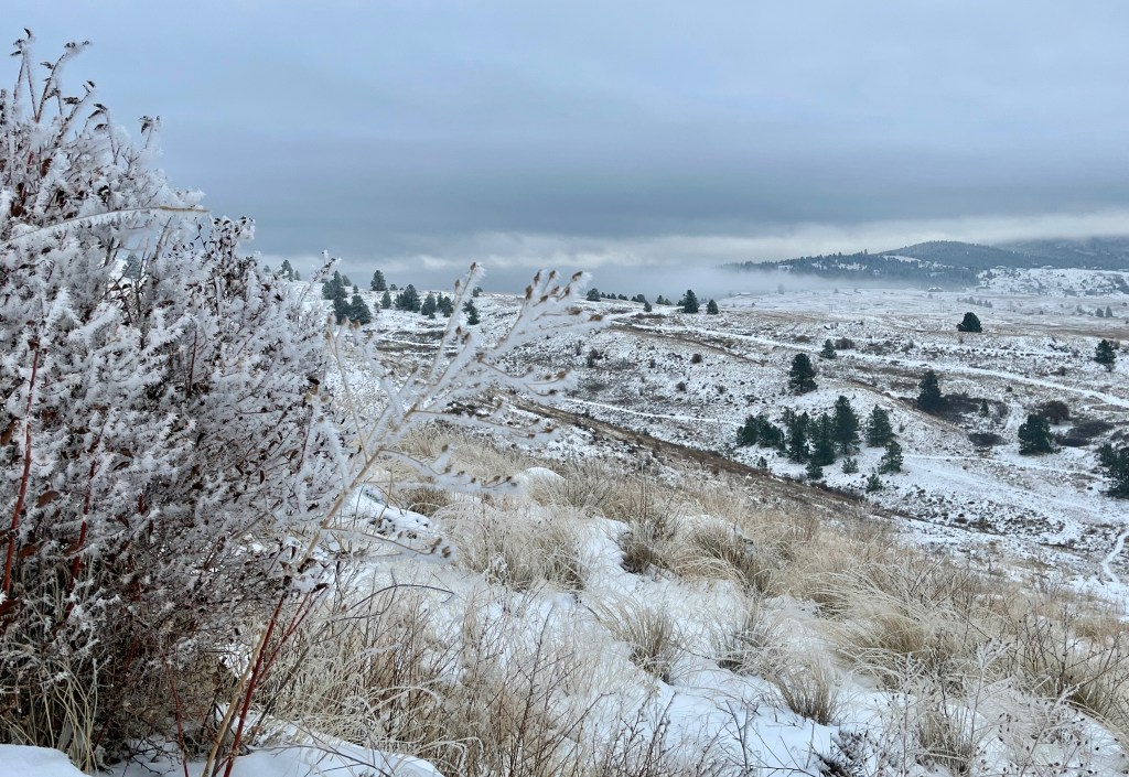 SALTESE UPLANDS CONSERVATION&nbsp;AREA