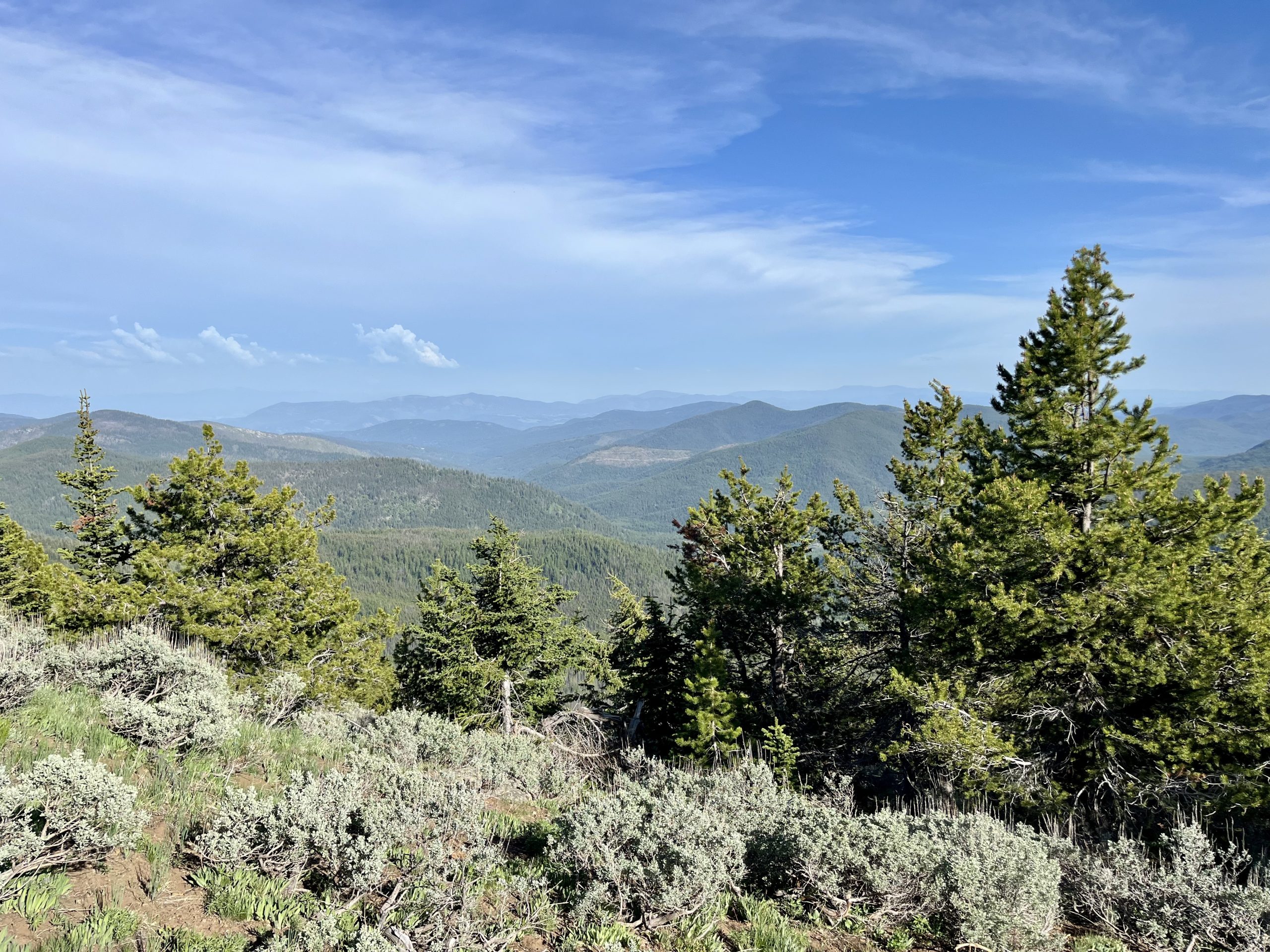 KETTLE CREST TRAIL: SHERMAN PASS TO WAPALOOSIE TRAIL JUNCTION