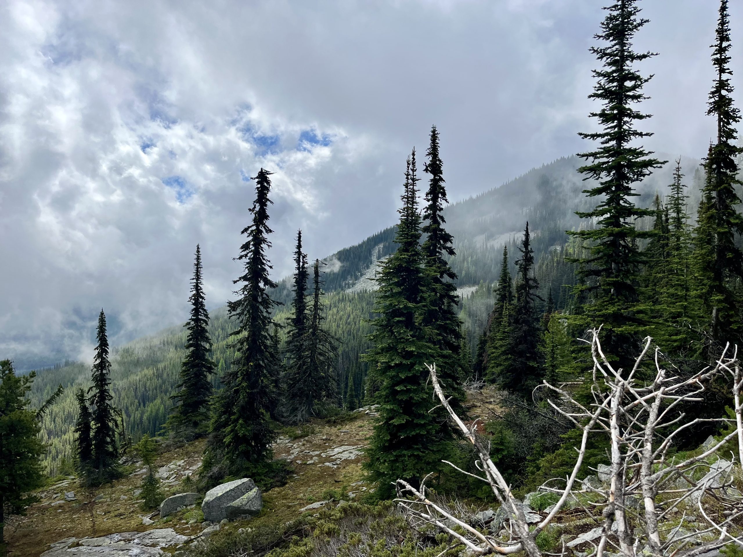 KETTLE CREST TRAIL: WAPALOOSIE JUNCTION AND BEYOND, JUNGLE HILL/SHERMAN PASS TRAILS